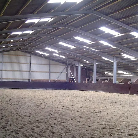 Triple Star Guest Ranch Stavern
